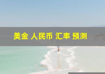 美金 人民币 汇率 预测